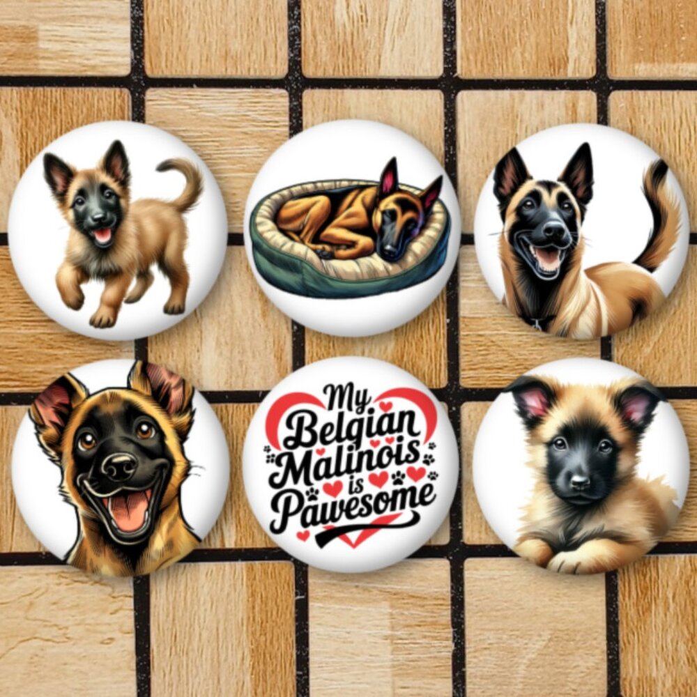 Belgian Malinois Dog Fridge Magnets Set Of 6 Metal Magnets Home Office Kitchen